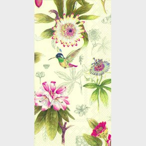 Kaffeservietter med kolibri