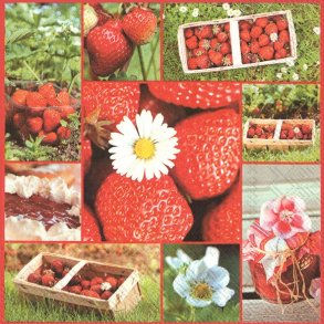 Serviet jordb�rg�rden- Sommerserviet 33x33cm